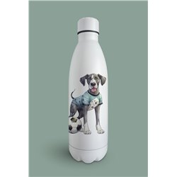 Insulated Bottle  - gd 33