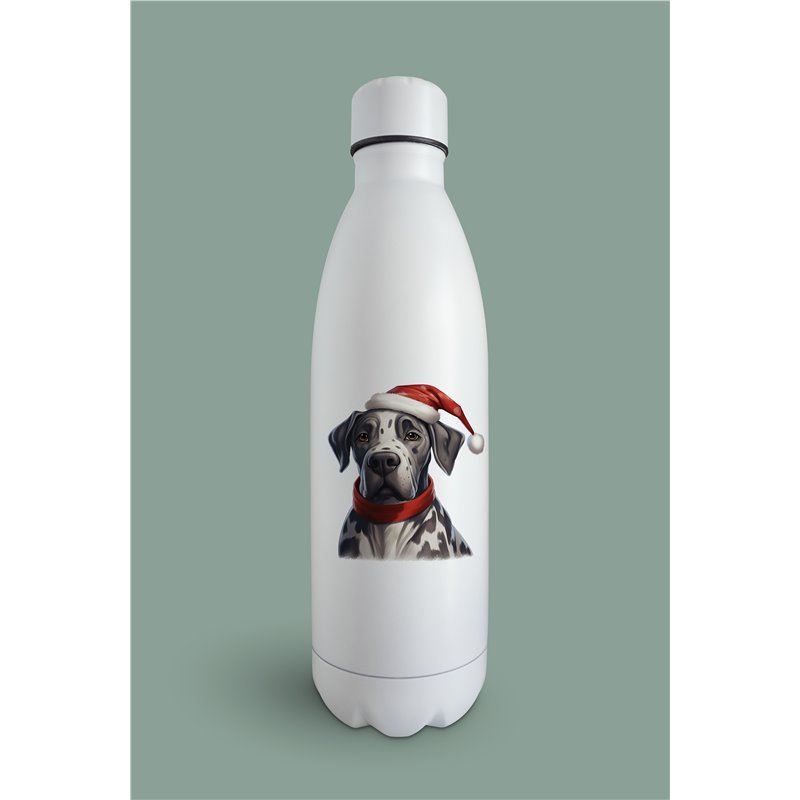 Insulated Bottle  - gd 34