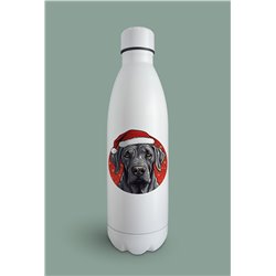 Insulated Bottle  - gd 36