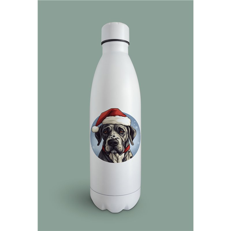 Insulated Bottle  - gd 37