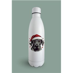 Insulated Bottle  - gd 38