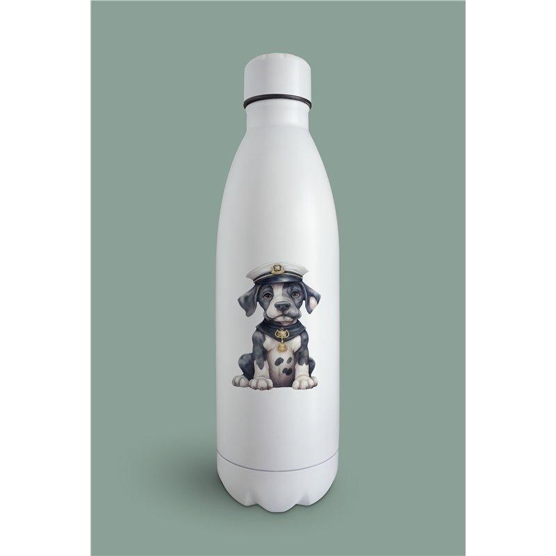 Insulated Bottle  - gd 39