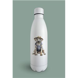 Insulated Bottle  - gd 40