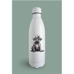 Insulated Bottle  - gd 42