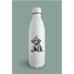 Insulated Bottle  - gd 44