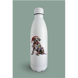 Insulated Bottle  - gd 45