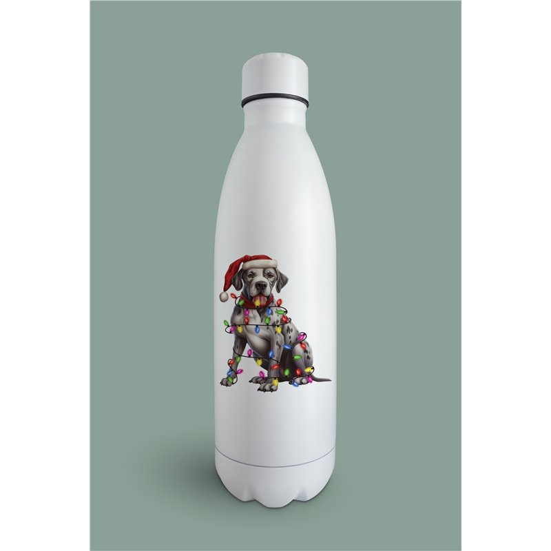 Insulated Bottle  - gd 45