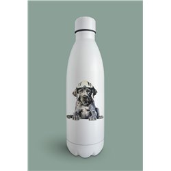 Insulated Bottle  - gd 46