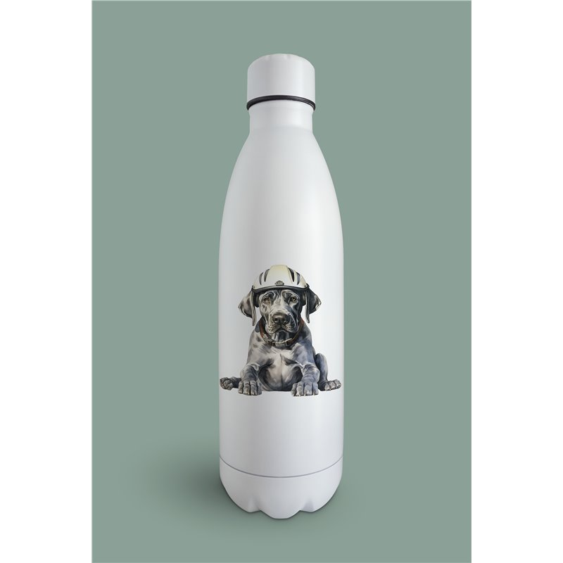 Insulated Bottle  - gd 46