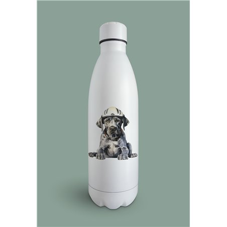 Insulated Bottle  - gd 46