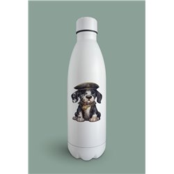 Insulated Bottle  - gd 48