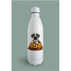Insulated Bottle  - gd 50