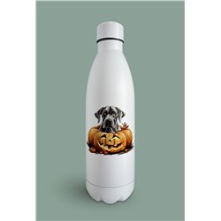 Insulated Bottle  - gd 51
