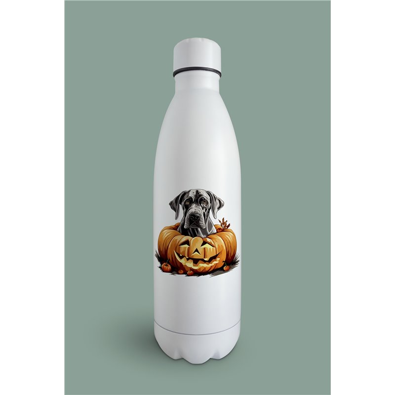 Insulated Bottle  - gd 51