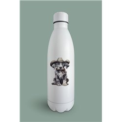 Insulated Bottle  - gd 52