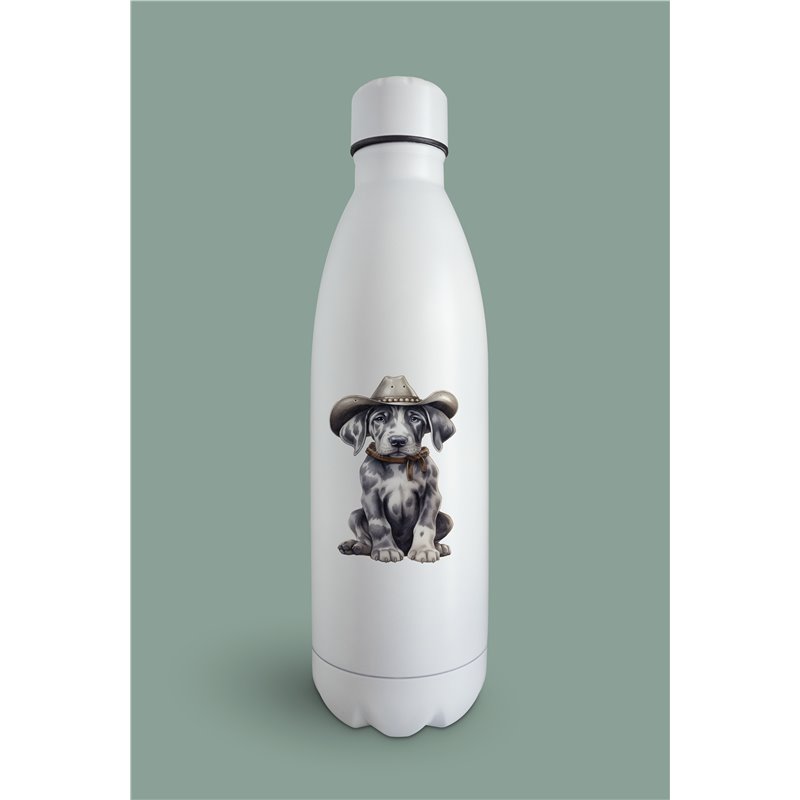 Insulated Bottle  - gd 52
