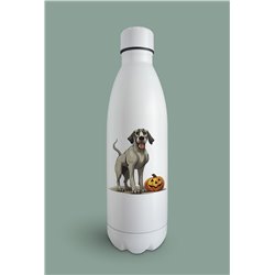 Insulated Bottle  - gd 55