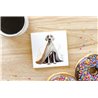 Ceramic Tile Coaster/ Trivet - gd 22