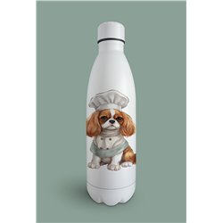 Insulated Bottle  - kc 1