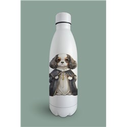 Insulated Bottle  - kc 2