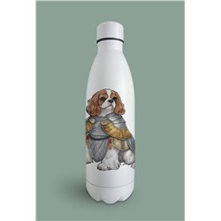 Insulated Bottle  - kc 3