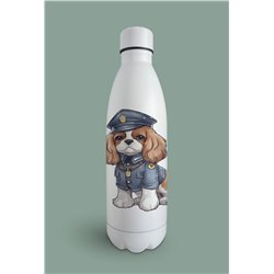 Insulated Bottle  - kc 5