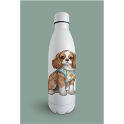 Insulated Bottle  - kc 6