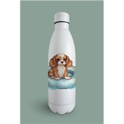 Insulated Bottle  - kc 7