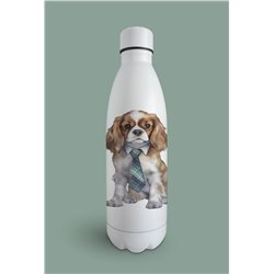 Insulated Bottle  - kc 8