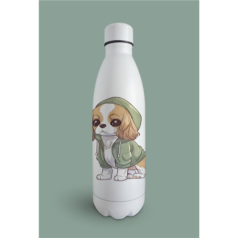 Insulated Bottle  - kc 9