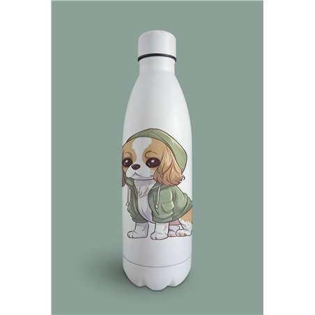 Insulated Bottle  - kc 9