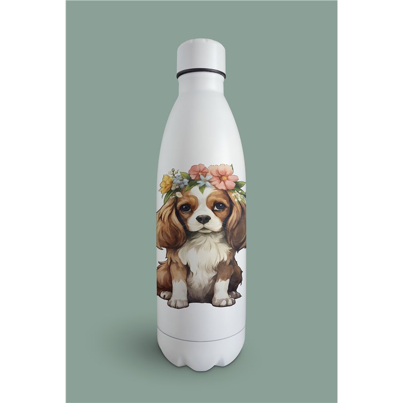 Insulated Bottle  - kc 10
