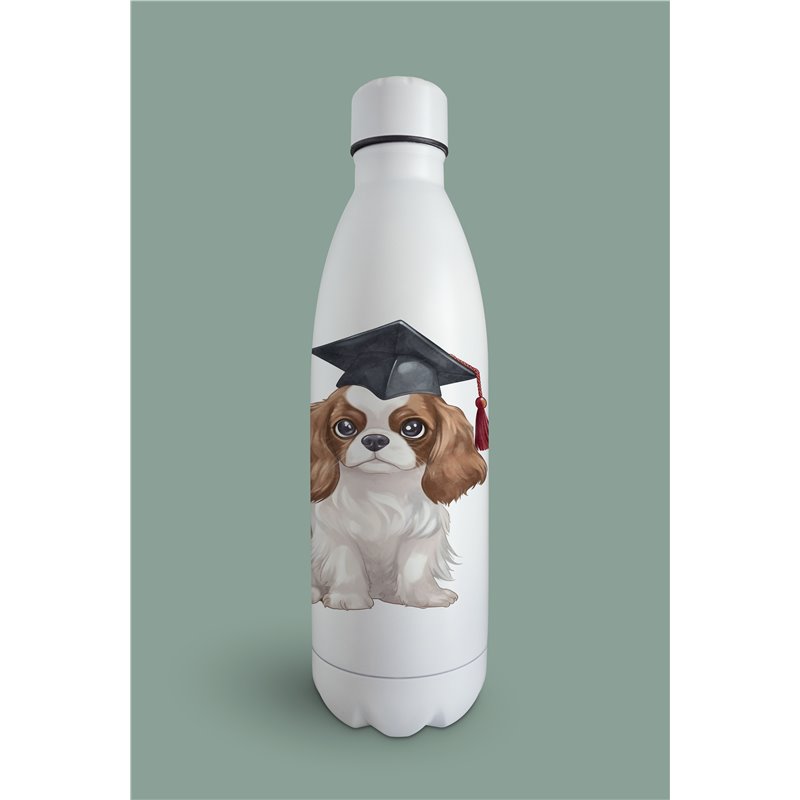 Insulated Bottle  - kc 11