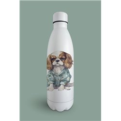 Insulated Bottle  - kc 14