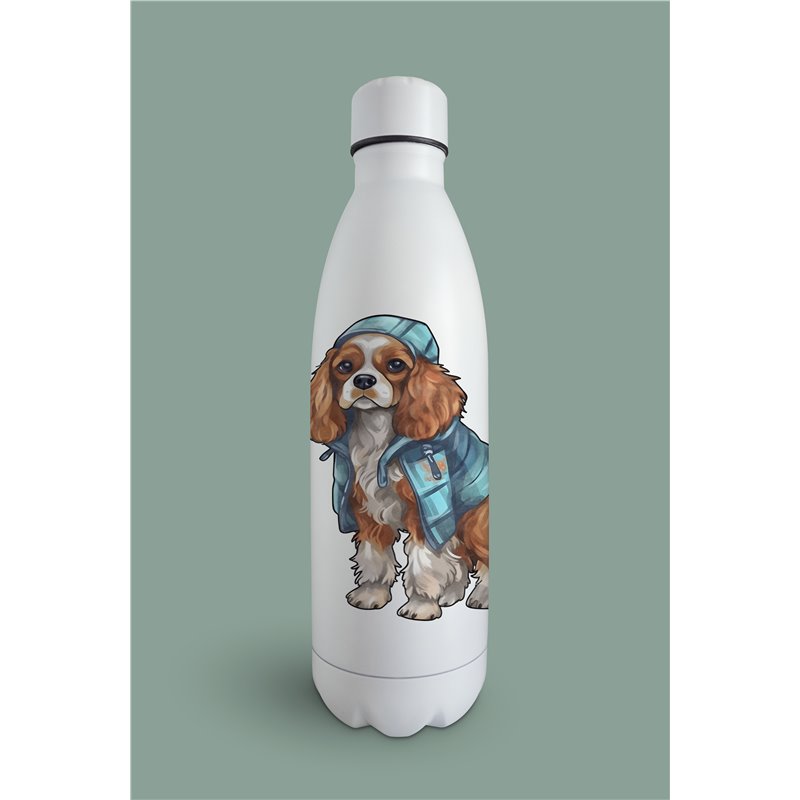 Insulated Bottle  - kc 15