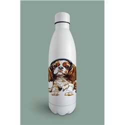 Insulated Bottle  - kc 17
