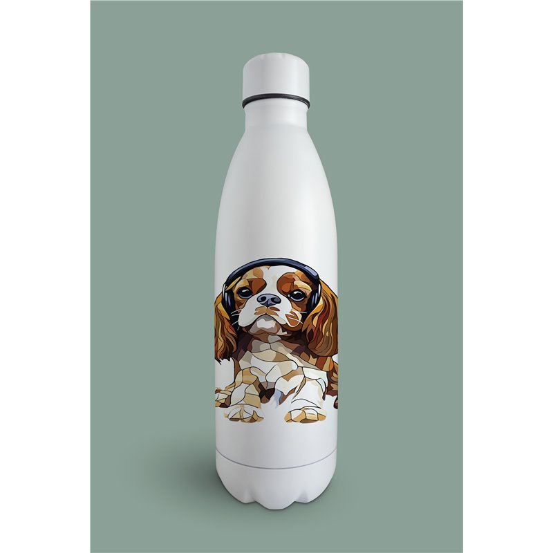Insulated Bottle  - kc 17