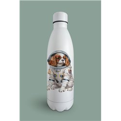 Insulated Bottle  - kc 19