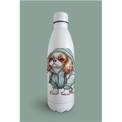 Insulated Bottle  - kc 20