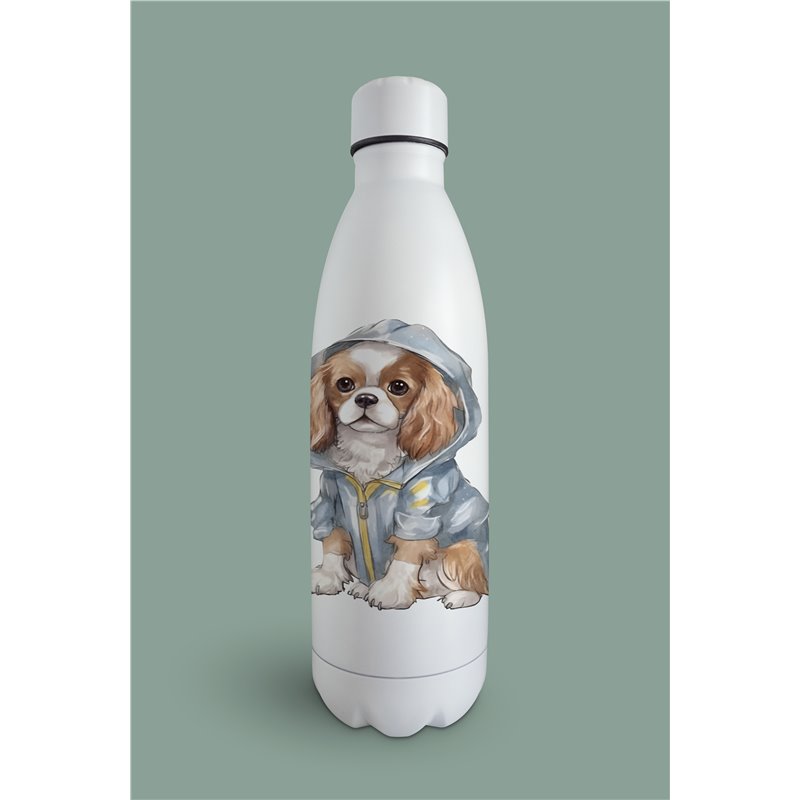 Insulated Bottle  - kc 21