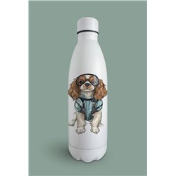 Insulated Bottle  - kc 22