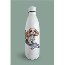 Insulated Bottle  - kc 23