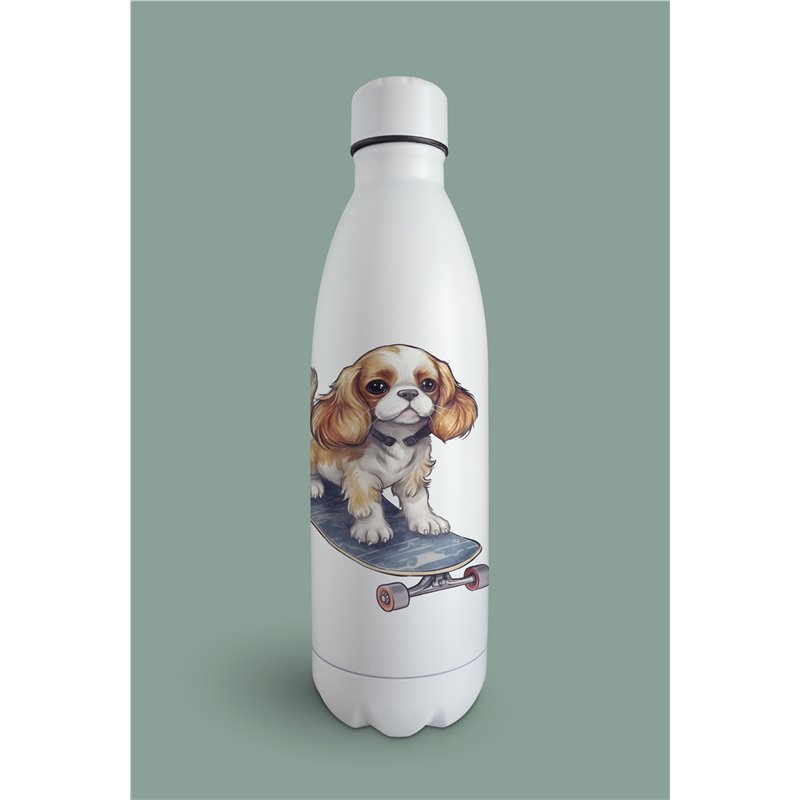 Insulated Bottle  - kc 23