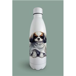 Insulated Bottle  - kc 25