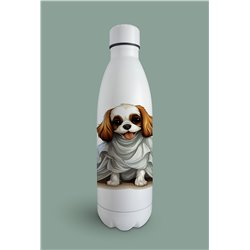 Insulated Bottle  - kc 26