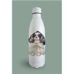 Insulated Bottle  - kc 28