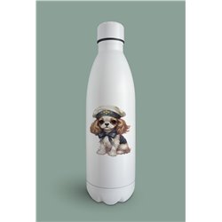 Insulated Bottle  - kc 29