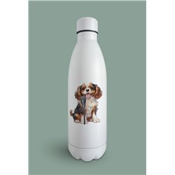 Insulated Bottle  - kc 31