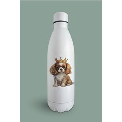 Insulated Bottle  - kc 32