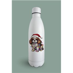 Insulated Bottle  - kc 35